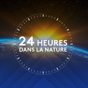 24 heures dans la nature (icono 2018)