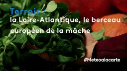 Meteo A La Carte En Replay Revoir Toutes Les Emissions De Meteo A