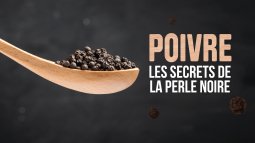 Poivre, les secrets de la perle noire - vidéo undefined - france.tv