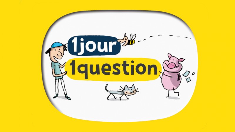 un jour une question tour de france