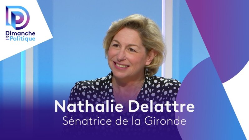 Nathalie Delattre, Sénatrice de la Gironde