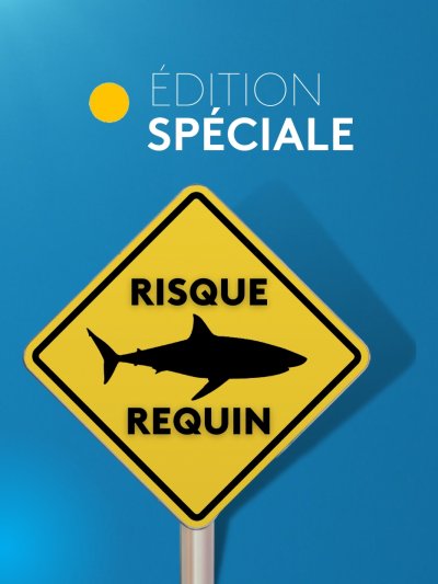 Édition Spéciale - Le risque requin - vidéo undefined - france.tv
