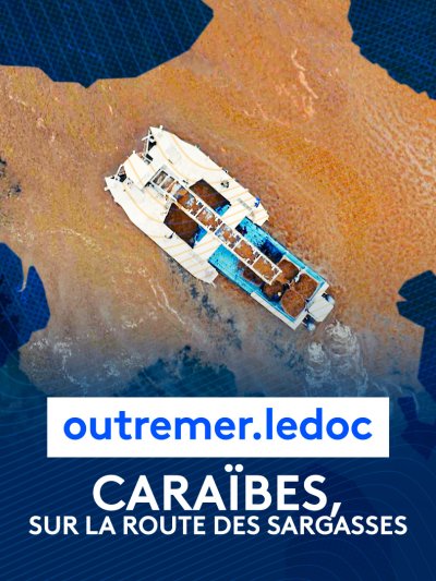 "Caraïbes, sur la route des sargasses" - vidéo undefined - france.tv