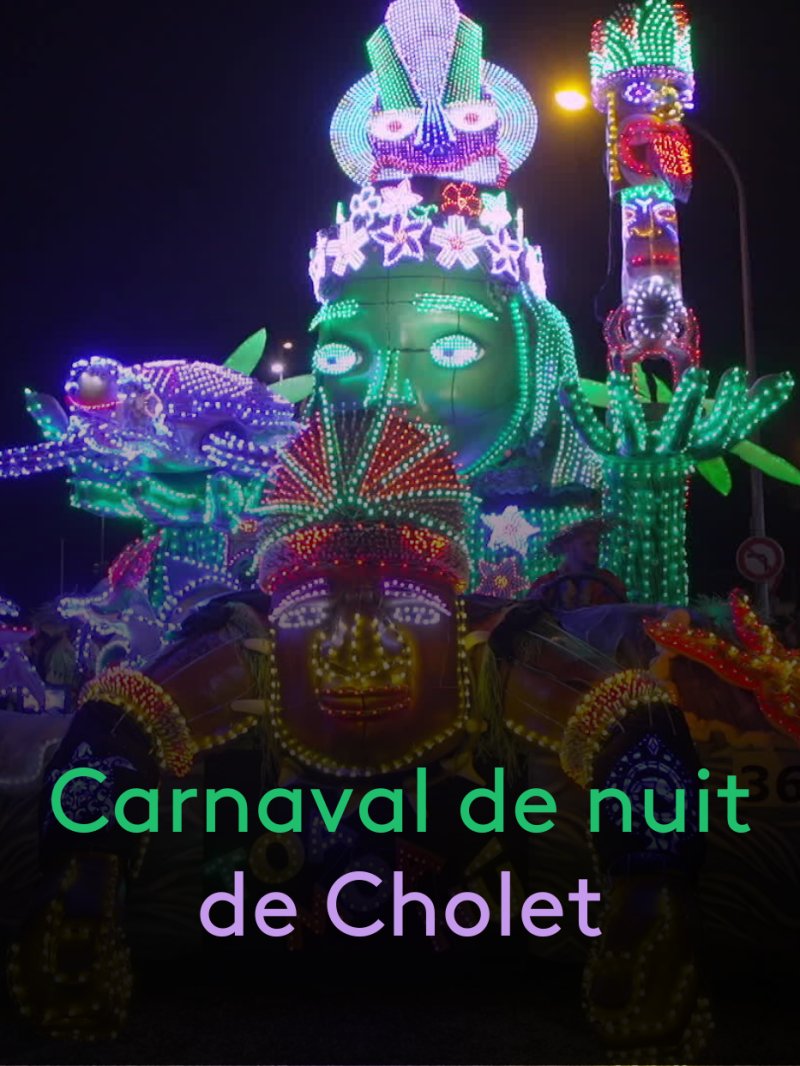 Carnaval de Cholet 2024 - La parade de nuit - vidéo undefined - france.tv