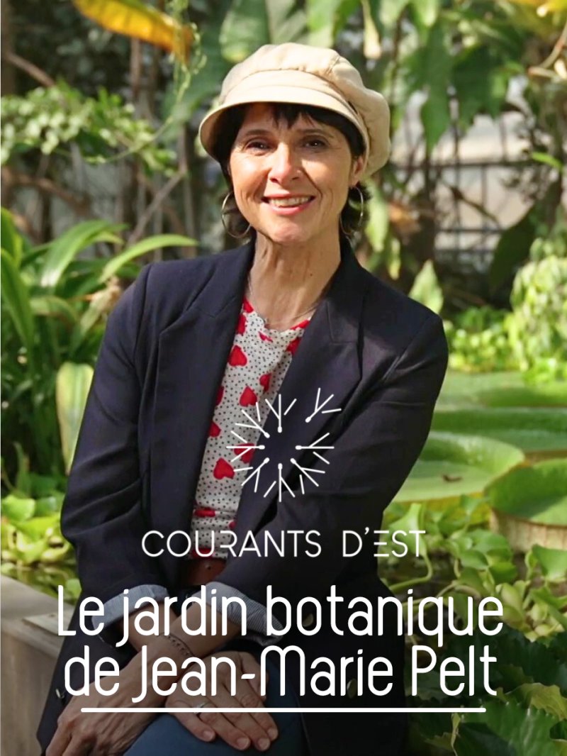 Le jardin botanique de Jean-Marie Pelt - vidéo undefined - france.tv