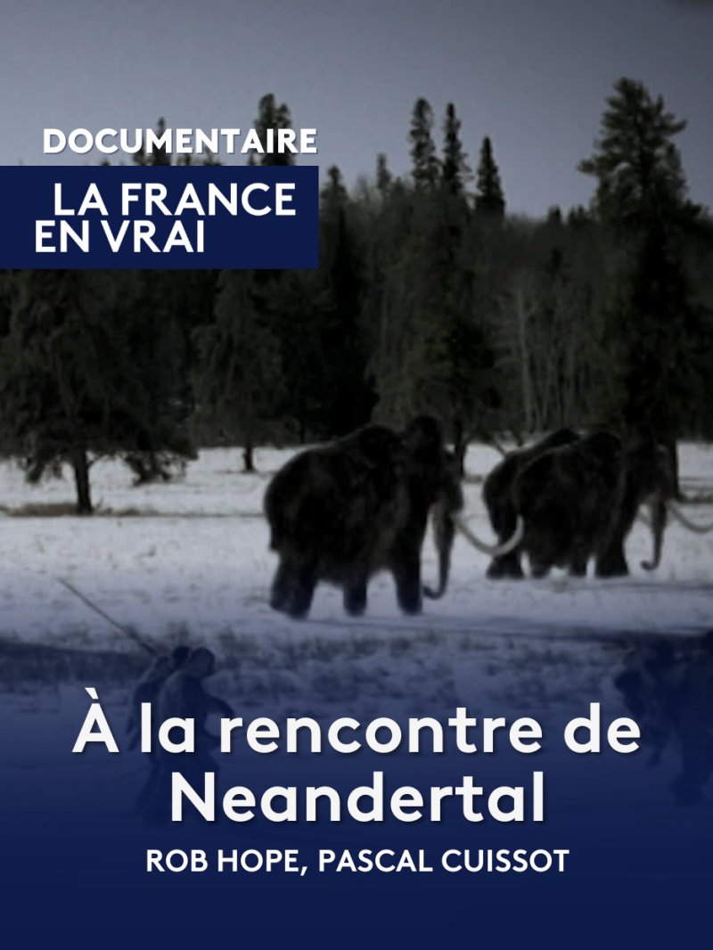 A la rencontre de Neandertal - vidéo undefined - france.tv