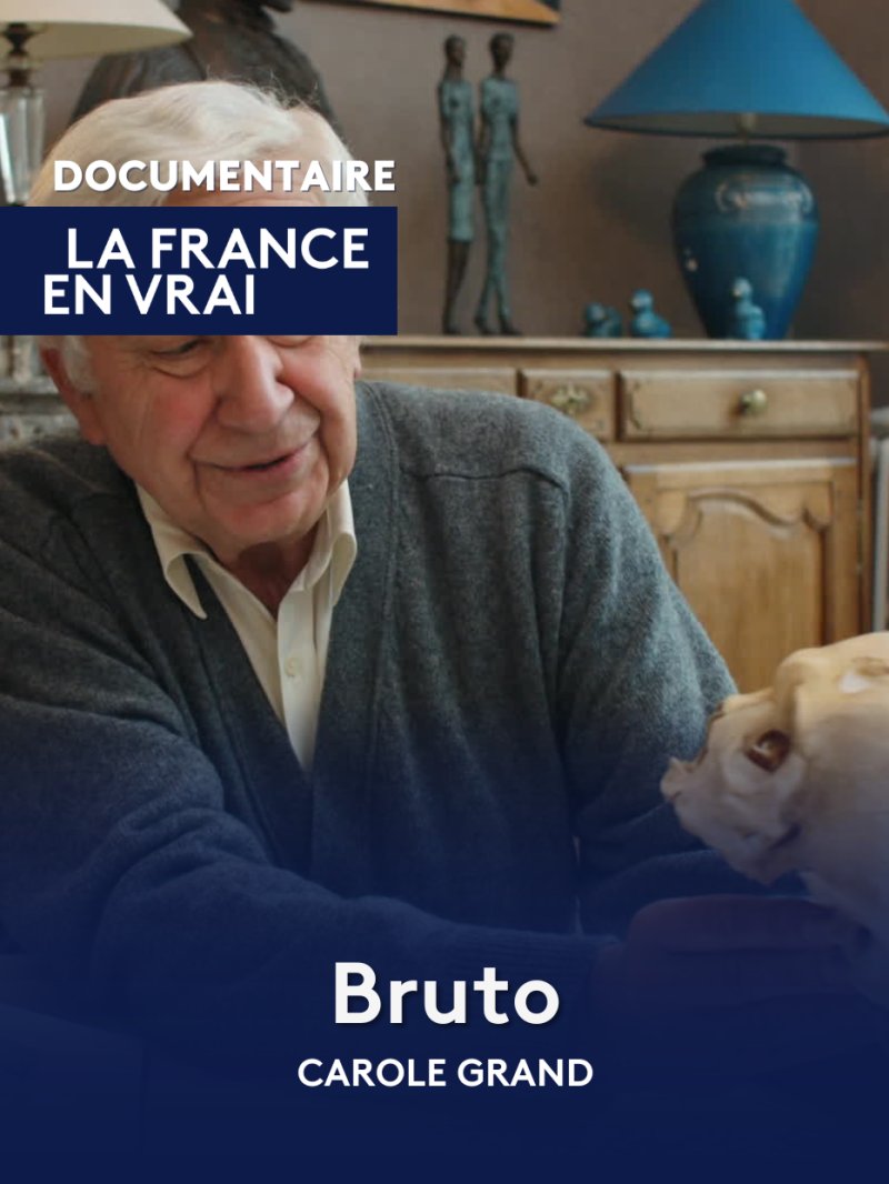 Bruto - vidéo undefined - france.tv