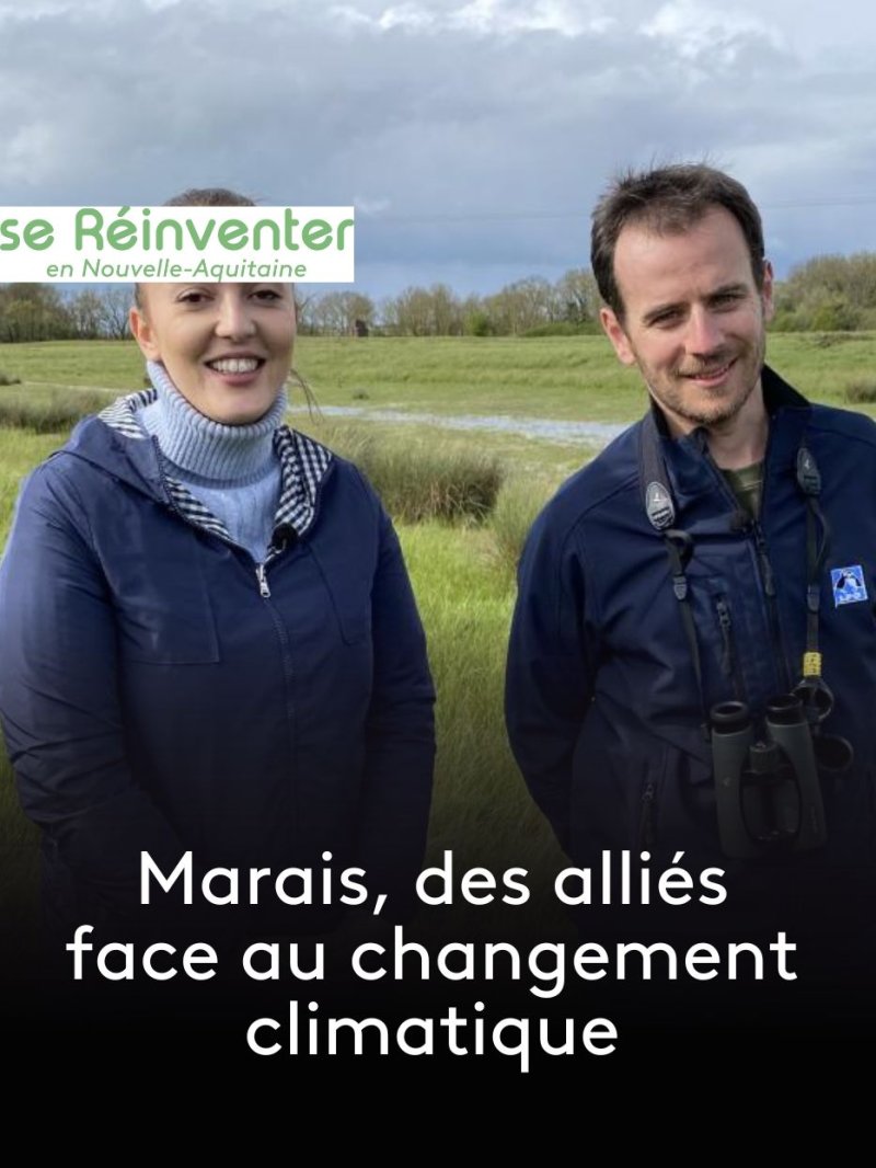 Marais, des alliés face au changement climatique - vidéo undefined - france.tv