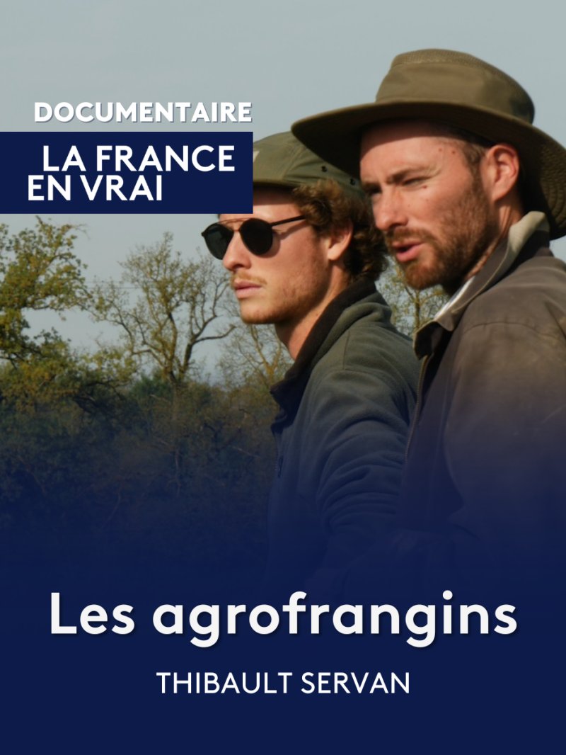 Les agrofrangins - vidéo undefined - france.tv